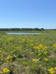 000 Cr 4343, Larue, TX 75770