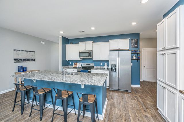 440 Blue Elderberry Run, Moncks Corner, SC 29461