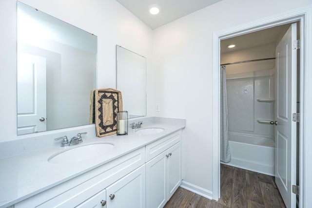 440 Blue Elderberry Run, Moncks Corner, SC 29461