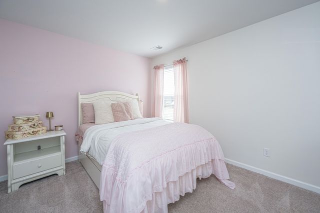 440 Blue Elderberry Run, Moncks Corner, SC 29461