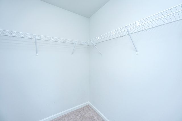 440 Blue Elderberry Run, Moncks Corner, SC 29461