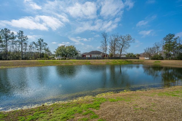 440 Blue Elderberry Run, Moncks Corner, SC 29461