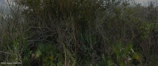 765 Pinta Terrace SW, Palm Bay, FL 32908