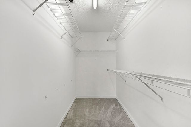 444 Mango Cir, St Augustine, FL 32095