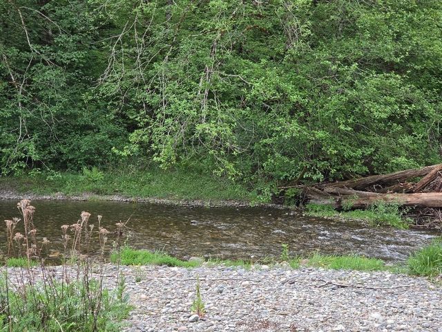 140 NE Evergreen Drive, Tahuya, WA 98588