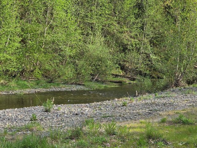 140 NE Evergreen Drive, Tahuya, WA 98588