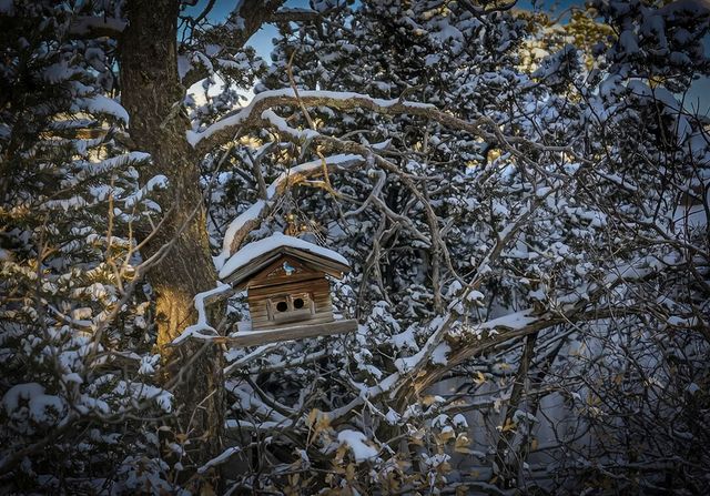 78 Sangre De Cristo Drive, Cedar Crest, NM 87008