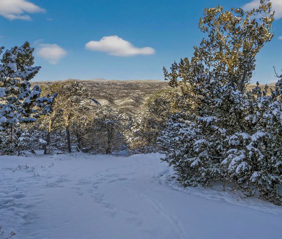 78 Sangre De Cristo Drive, Cedar Crest, NM 87008
