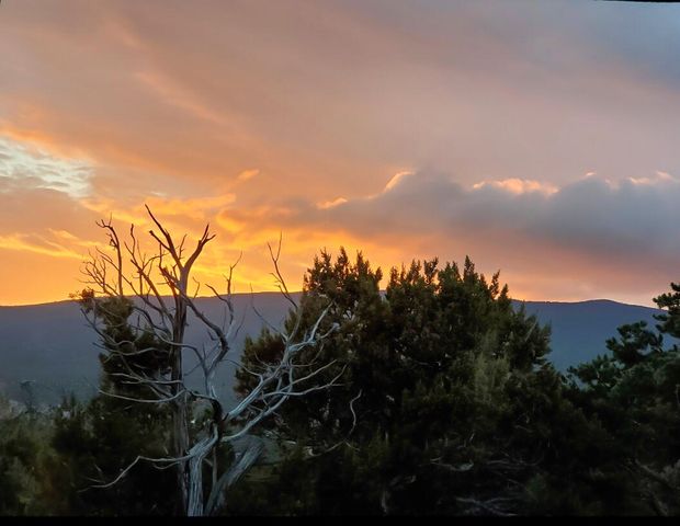 78 Sangre De Cristo Drive, Cedar Crest, NM 87008