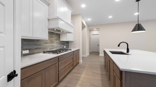 1711 Hillside Stroll Drive, Lavon, TX 75166