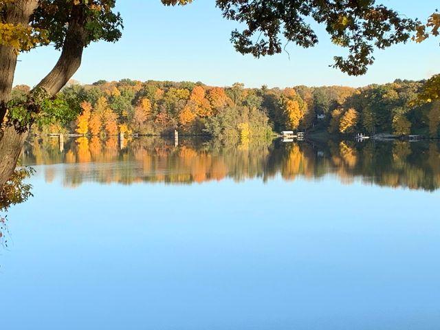 9895 Lakeview Drive, Oronoko Twp, MI 49103