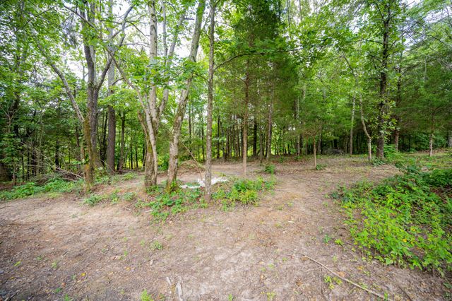 201 Victor Cabbage Rd, Hohenwald, TN 38462