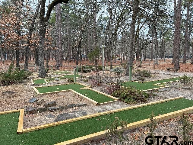 149 Cypress Cove, Holly Lake Ranch, TX 75765