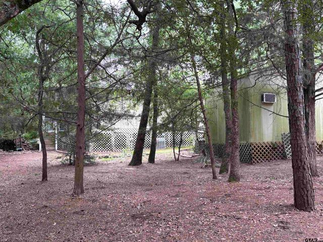 149 Cypress Cove, Holly Lake Ranch, TX 75765