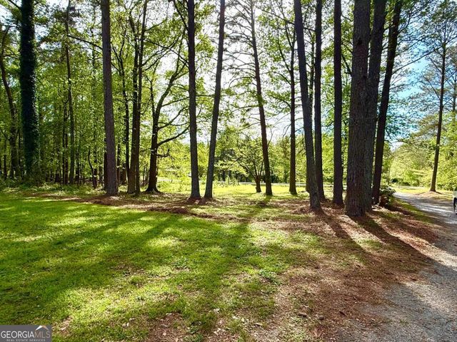 1177 Bob Smith Road, Sharpsburg, GA 30277