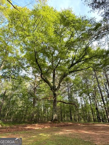 1177 Bob Smith Road, Sharpsburg, GA 30277