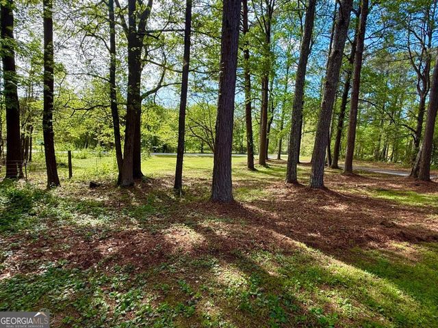 1177 Bob Smith Road, Sharpsburg, GA 30277