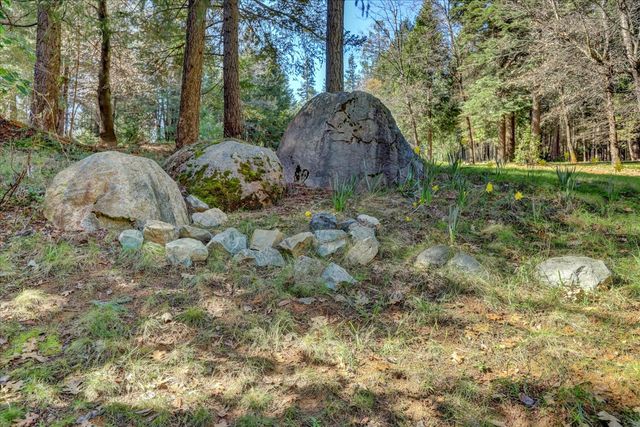 11793 Coyote Ct, Nevada City, CA 95959