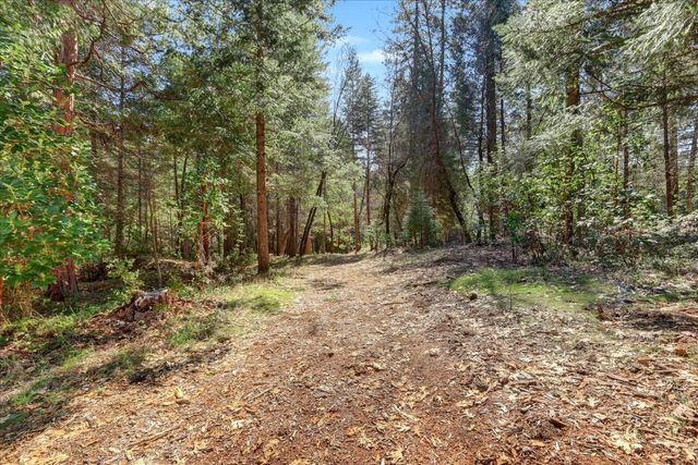 11793 Coyote Ct, Nevada City, CA 95959