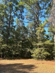 545556 Grand Pine Circle, Livingston, TX 77351