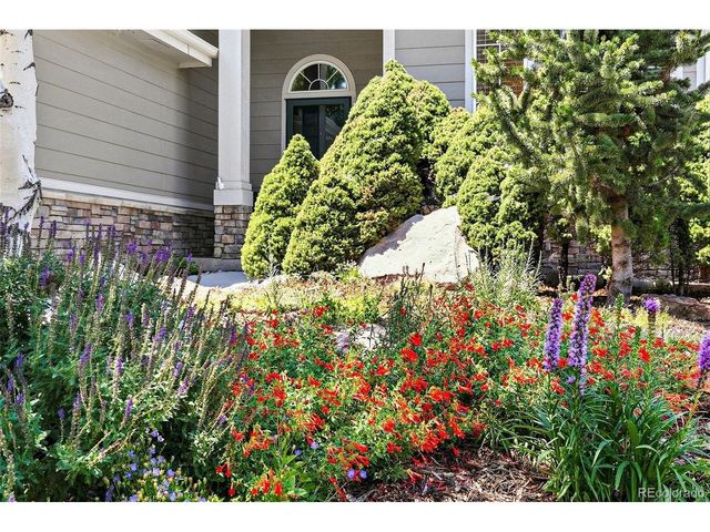 10187 Riverstone Dr, Parker, CO 80134