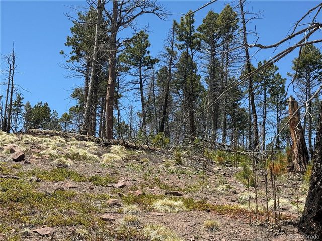 1154 Bluhdorn Pl, Fort Garland, CO 81133
