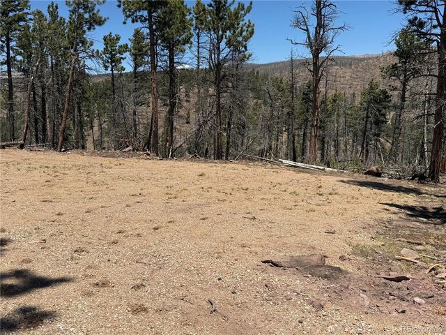 1154 Bluhdorn Pl, Fort Garland, CO 81133