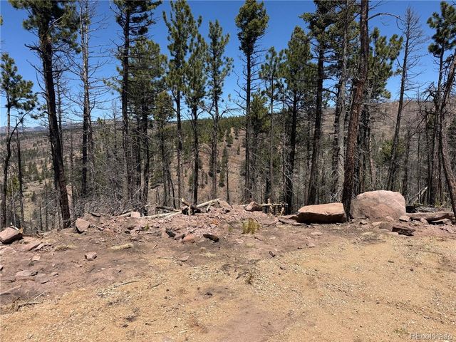 1154 Bluhdorn Pl, Fort Garland, CO 81133