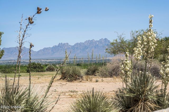 20 Las Casitas, Las Cruces, NM 88007