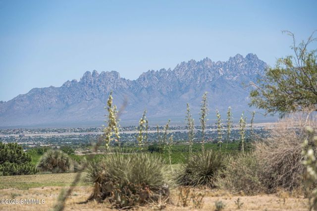 20 Las Casitas, Las Cruces, NM 88007
