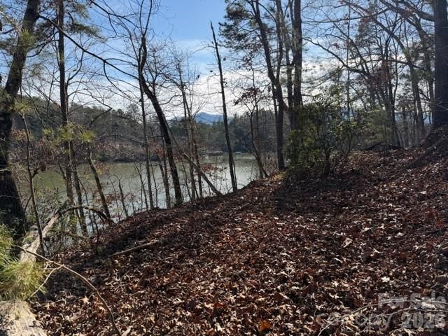 37 Peninsula Drive, Mill Spring, NC 28756