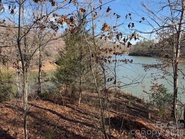 37 Peninsula Drive, Mill Spring, NC 28756