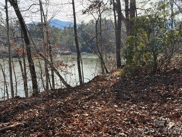 37 Peninsula Drive, Mill Spring, NC 28756