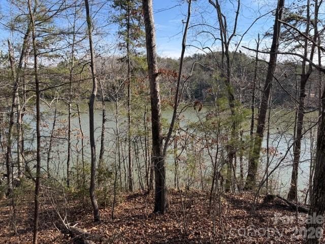 37 Peninsula Drive, Mill Spring, NC 28756