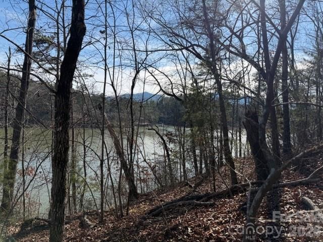 37 Peninsula Drive, Mill Spring, NC 28756