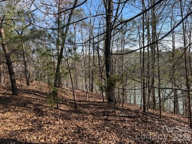 37 Peninsula Drive, Mill Spring, NC 28756