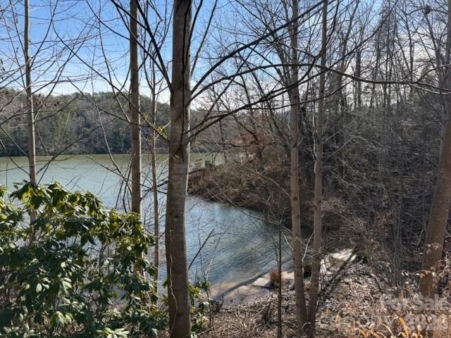 37 Peninsula Drive, Mill Spring, NC 28756