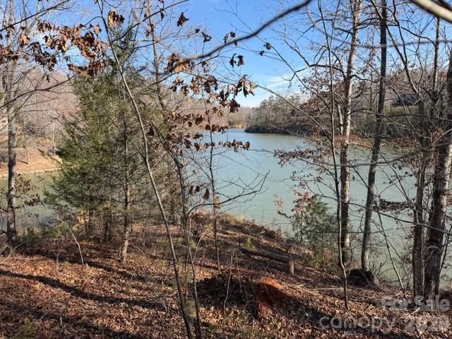 37 Peninsula Drive, Mill Spring, NC 28756