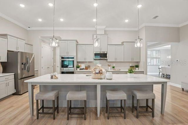 3919 VINO TINTO PLACE, Plant City, FL 33565