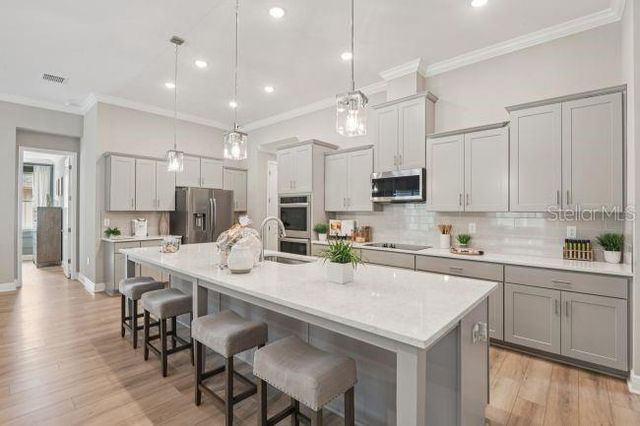 3919 VINO TINTO PLACE, Plant City, FL 33565