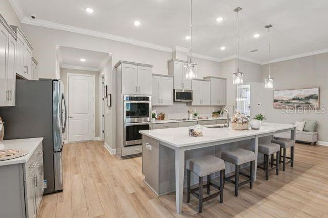 3919 VINO TINTO PLACE, Plant City, FL 33565