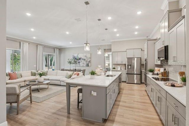 3919 VINO TINTO PLACE, Plant City, FL 33565