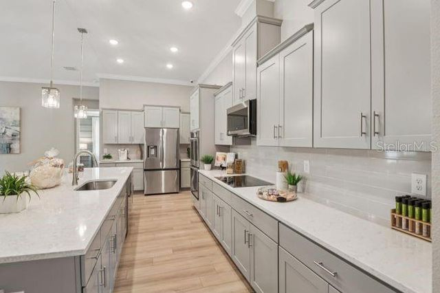 3919 VINO TINTO PLACE, Plant City, FL 33565