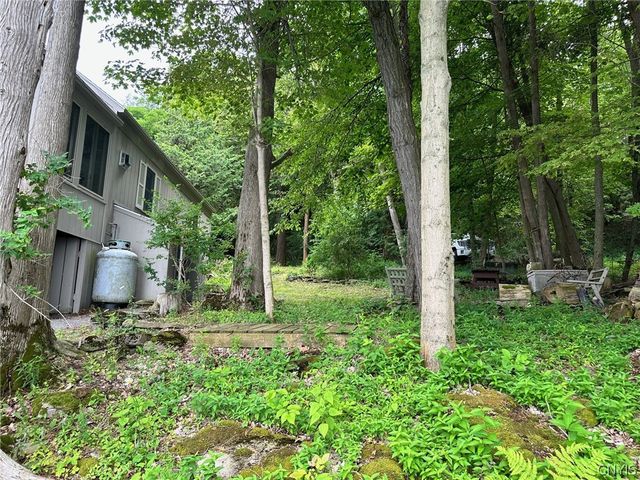 14725 Lower Hovey Tract Road, Henderson, NY 13650