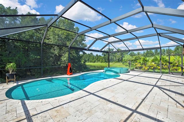 30801 PARROT REEF COURT, Wesley Chapel, FL 33545