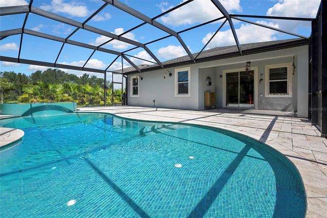 30801 PARROT REEF COURT, Wesley Chapel, FL 33545