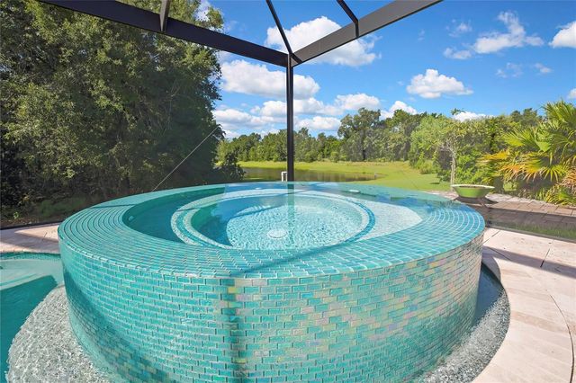 30801 PARROT REEF COURT, Wesley Chapel, FL 33545