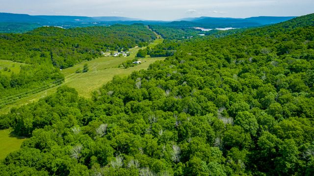 14344 County Road 91, Bryant, AL 35958