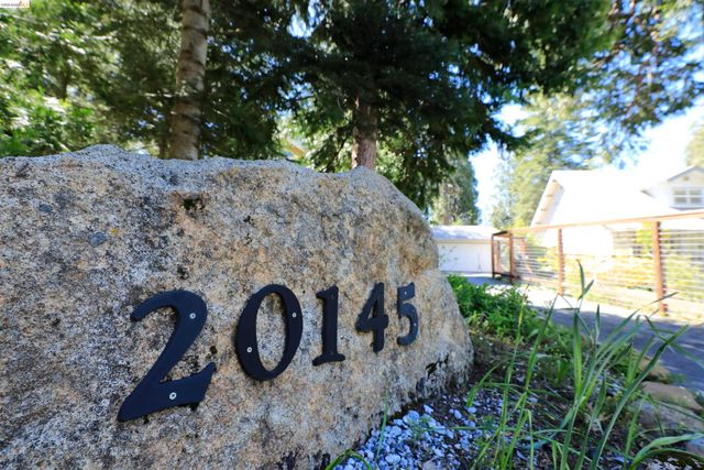 20145 Manzanita, Twain Harte, CA 95383