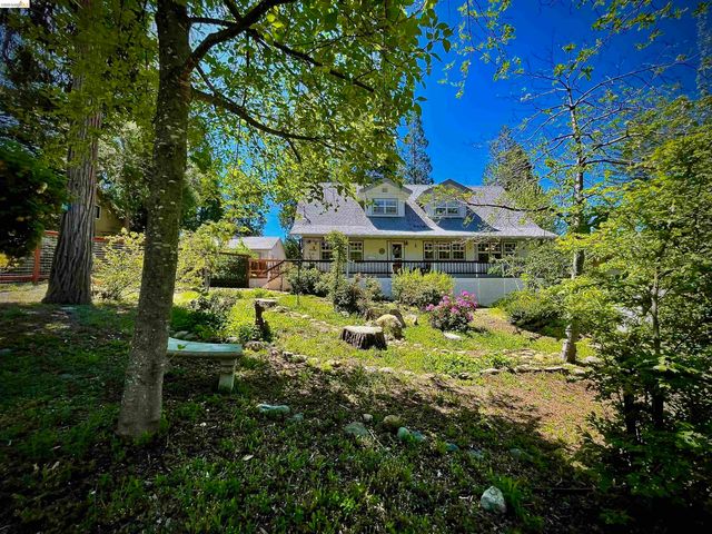 20145 Manzanita, Twain Harte, CA 95383